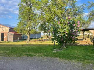 Gîte Ferme équestre - 7