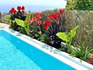 Villa Ocean Breeze - Firgas - 8