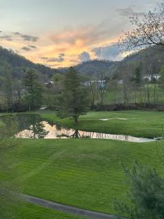 A Happy Roost - Vilas - 8