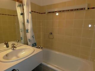 Studio cosy, skis aux pieds, terrasse privative, au coeur de Montalbert - FR-1-181-2467 - Aime-la-Plagne - 5