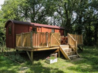 The Foxes Den Shepherds Hut - Bristol - 0