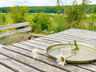 Holiday home HÖGSBY II - Högsby - 4