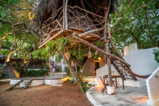 Treehouse Jericoacoara - 8
