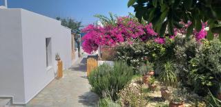 Pagonis Studios Skyros - Skyros - 2