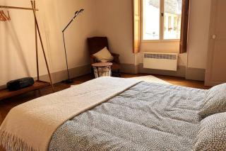 Centre Versailles château à pied - 3