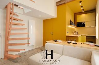 Magnifique Appartement Hypercentre Place Stanislas Nancy - Nancy - 5