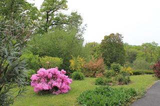 Coquet et spacieux Appt 3 chambres dans villa avec terrasse et jardin - 2