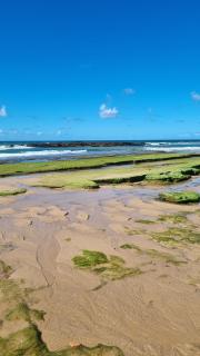 Suíte Beija-flor - 6