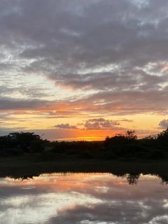 Suíte Beija-flor - 9