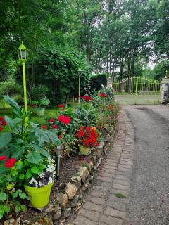 Chambre d hôte les bosquets - 7