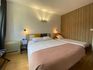 Savoie Hotel aux portes de Genève - Saint-Julien-en-Genevois - 5