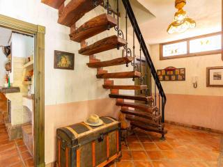 Viña Chica - Nigüelas - 4