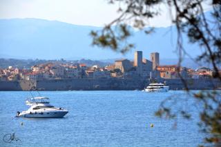 chambres d'hôtes en rez de villa avec piscine - Antibes - 6