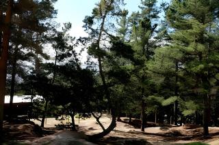 Cabaña del Cerro 4 - Pichilemu - 4