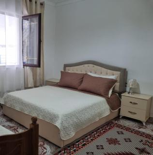 Shuli Apartment - Pogradec - 2