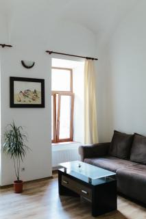 Contessa Central Studio II - Cluj-Napoca - 7