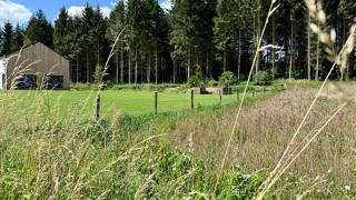 La vie en vert - Gouvy - 2