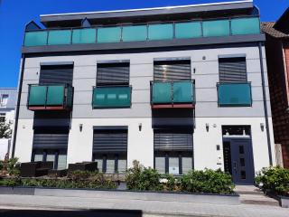 Lachmöwe by DeJu -4 Sterne DTV-Klassifizierung- - 2