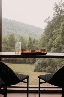 Tranquil Loft Retreat in Virginia Wine Country - 1