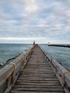 Les bananiers 2 - Capbreton - 9
