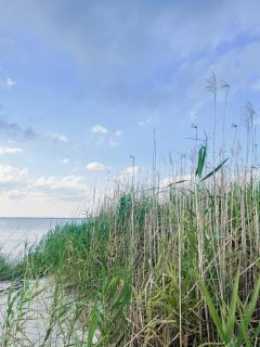 Guesthouse on Girod - 1