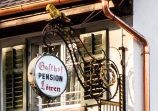 Gasthof Löwen Tosters - 7