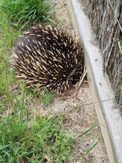 Braeview - Lakes Entrance - 2