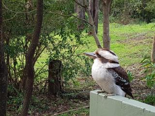 Braeview - Lakes Entrance - 3