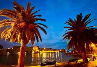 Duplex La maison bleue - Collioure - 9