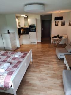 City Apartment - Radolfzell am Bodensee - 0