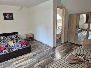Apartamente de inchiriat Lucky House - Braşov - 5