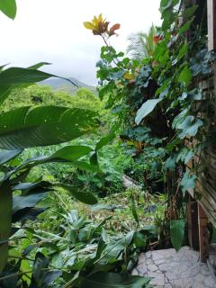 Tikazalou Eco Hostel - Deshaies - 4