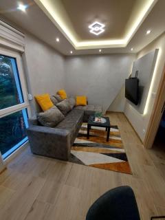 Apartman Davidovic MD 1 Divcibare - Divčibare - 0