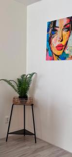 Short stay klimop - Nijmegen - 3
