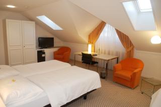 Hotel Schwanen Wil - Wil - 8