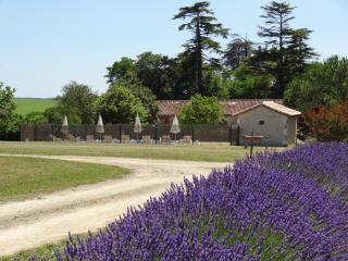 Gîte Les écureuils - 1
