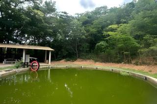 Sítio Pousadinhas do Lago - Almeida - 4