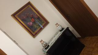 Dalla Fe' - 9