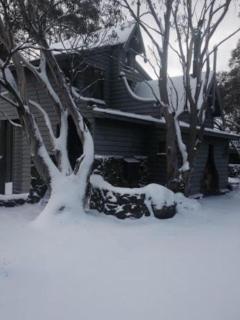 'Bogong'- picturesque alpine chalet - Dinner Plain - 6