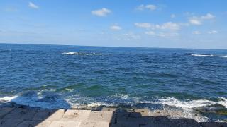 Alexandria Seaview studio - Alessandria d'Egitto - 7