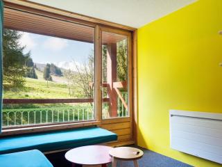 Studio confortable skis aux pieds avec balcon - FR-1-346-350 - 6