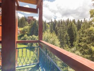 Appartement Rénové au Centre de la Station avec Balcon, Près des Pistes et Commerces - FR-1-346-400 - Arc 1800 - 1