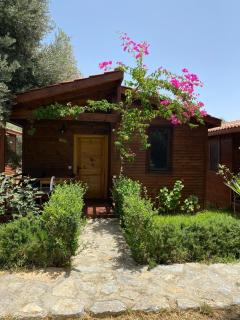 Suzi'nin Bahçesi Bungalov Evler - Datça - 0