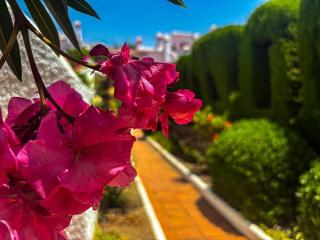 A2406 Capistrano Village, Nerja - Nerja - 9