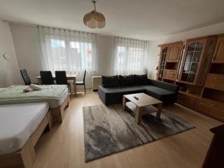 Schöne Ferienwohnung in Saarbrücken - Saarbrücken - 9