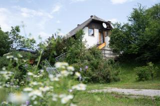 Apartment Ivanka - Rastovača - 4