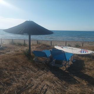 Kyllini am Meer relaxen mit Hund - 7