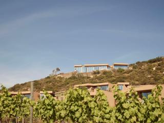 Banyan Tree Veya, Valle de Guadalupe - A Wellness & Wine Resort - Valle de Guadalupe - 7