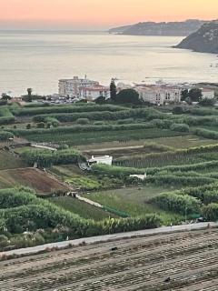 Authentic, Huge Terrace Sea & Mountain Views - Salobreña - 5
