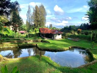 Sibayak Multinational Rest House - Berastagi - 1